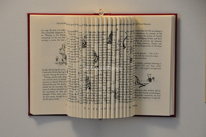 Sculptural-Book Sculpture Daisy Fold.jpg